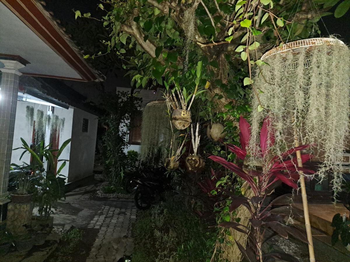 Ascarya Guest House Санур Экстерьер фото