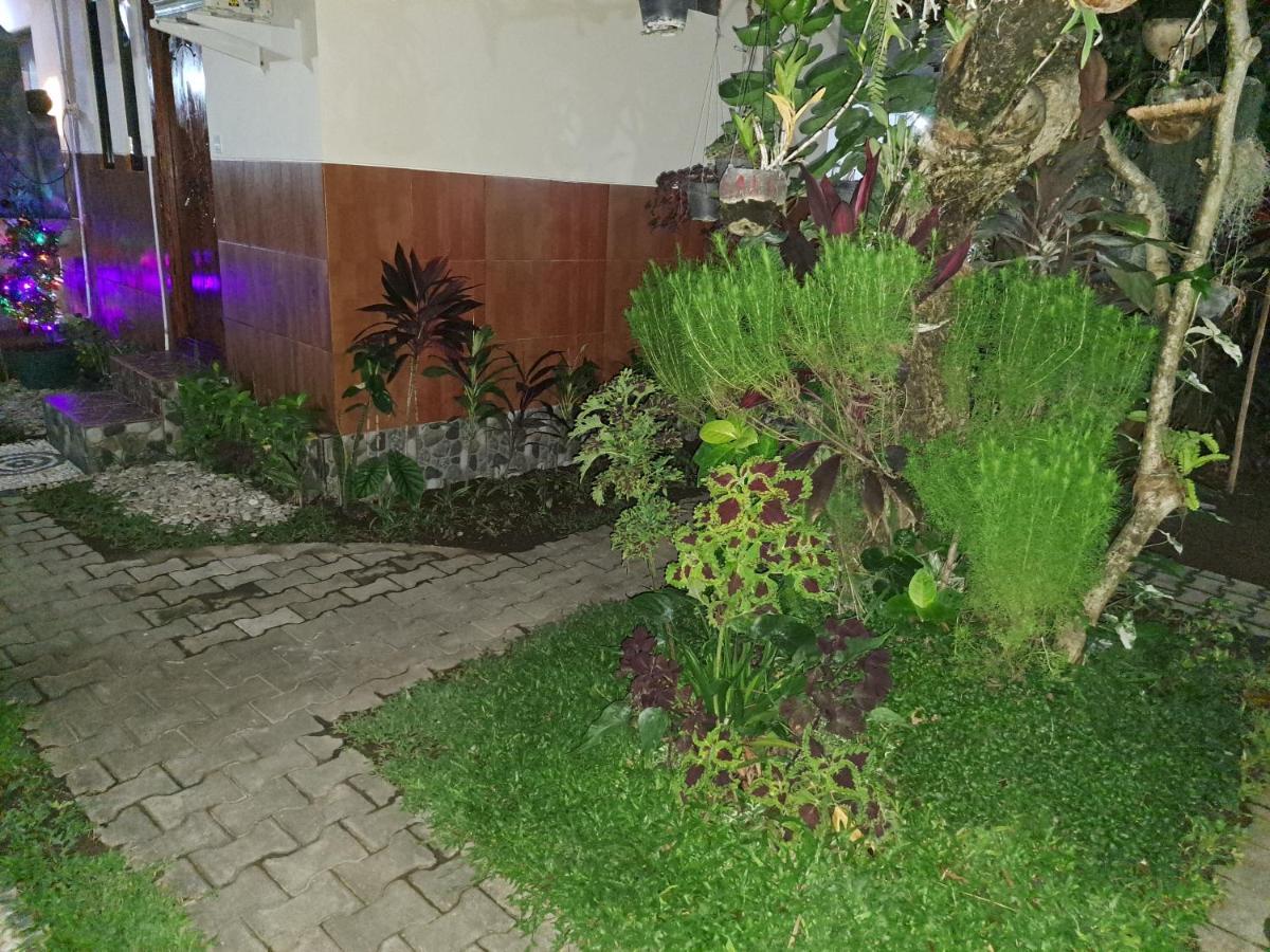 Ascarya Guest House Санур Экстерьер фото
