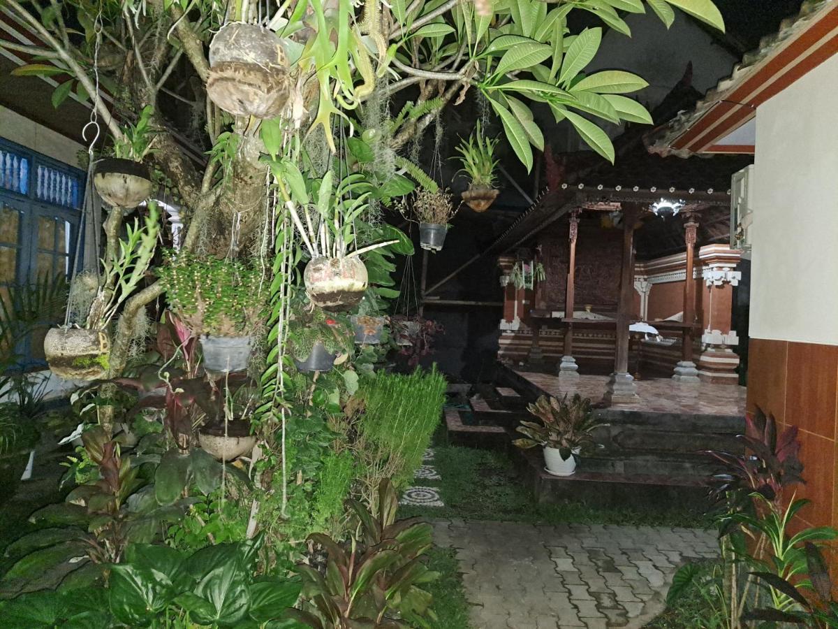 Ascarya Guest House Санур Экстерьер фото